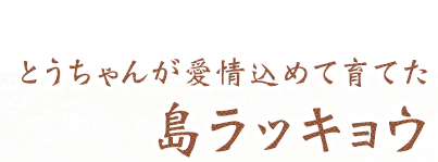 おじいが愛情込めて育てた
