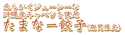 たっぷりキャベツのジュ―シー